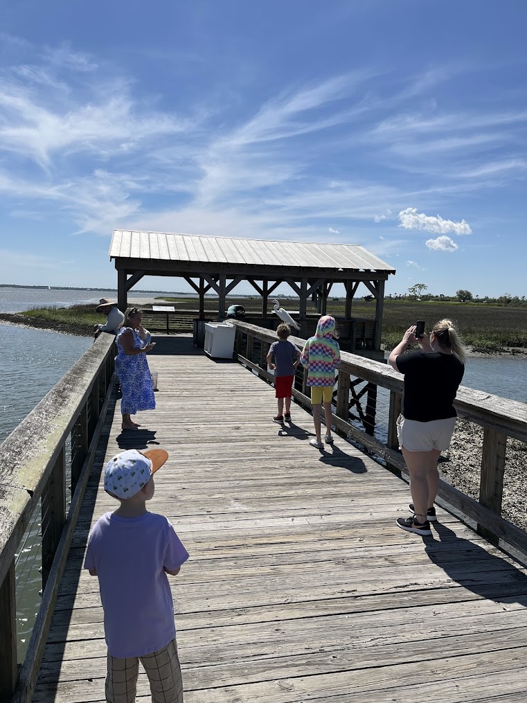 Heron spotted in Shem Creek, Mount Pleasant, South Carolina.