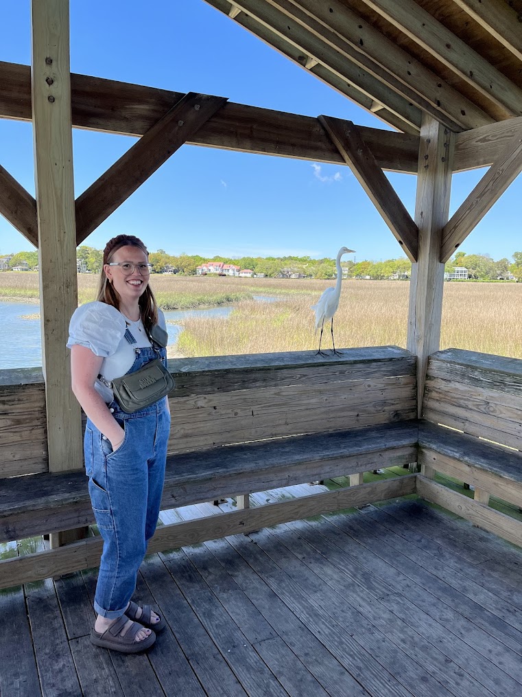 A close-up with the heron in Shem Creek, Mount Pleasant, South Carolina.